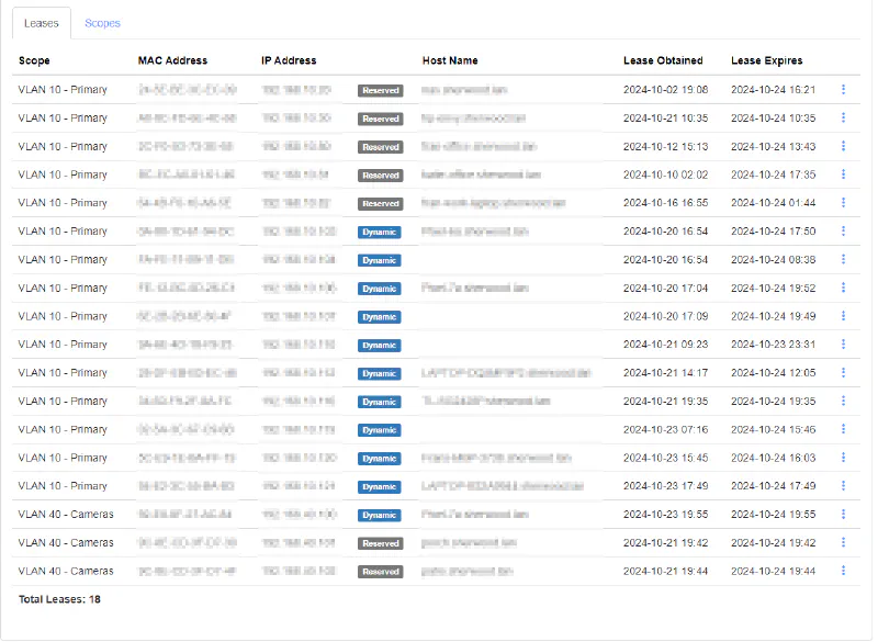 Leases Tab