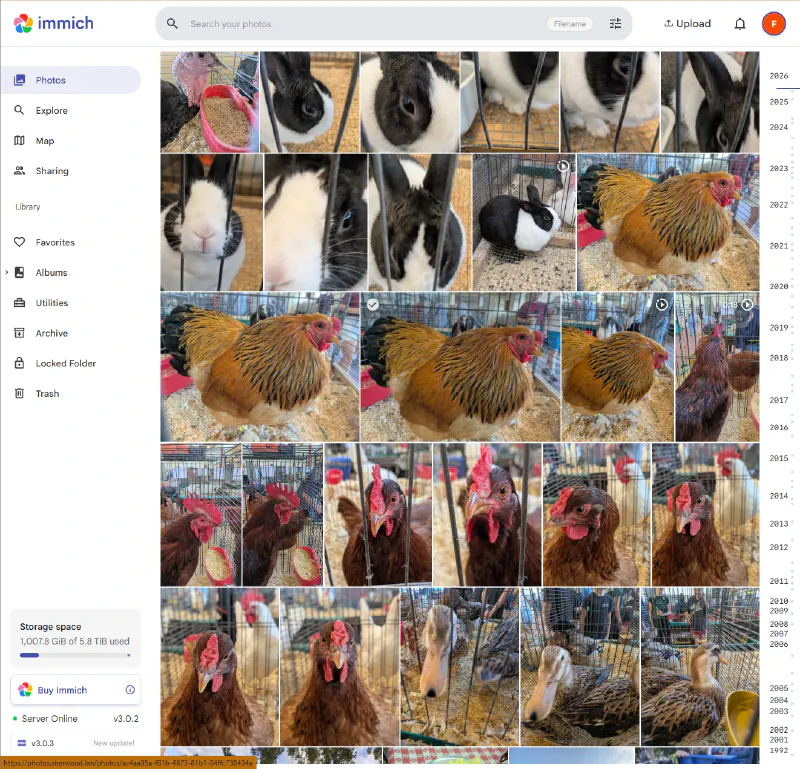Immich Screenshot